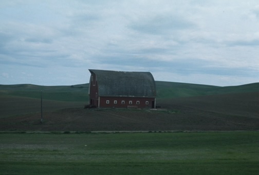 Summer Wind Farm barn